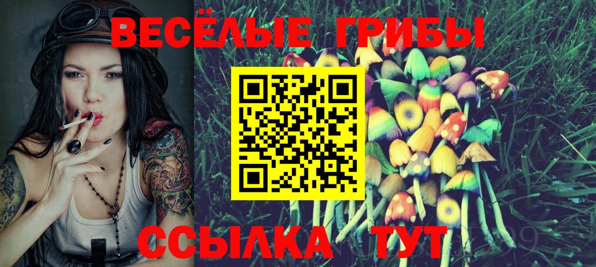 Псилоцибиновые грибы ЛСД Урюпинск