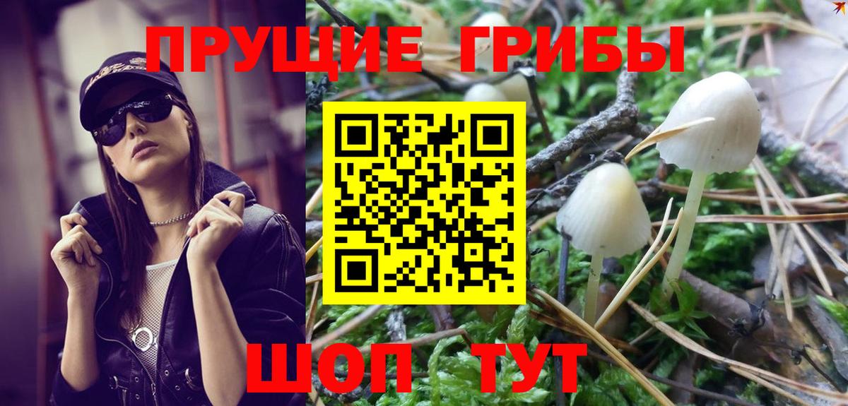 Урюпинск  Галлюциногенные грибы Psilocybine cubensis  Вход с VPN  Псилоцибиновые грибы прущие грибы 